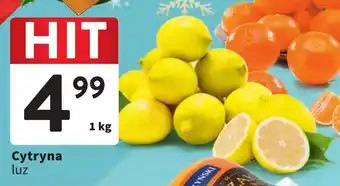 Intermarche Cytryna luz 1 kg oferta