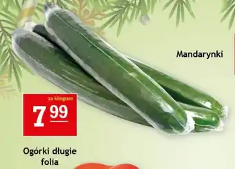 Gram Market Ogórki długie folia 1 kg oferta