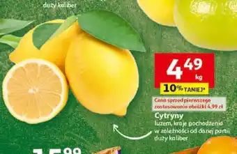 Auchan Cytryny 1 kg oferta