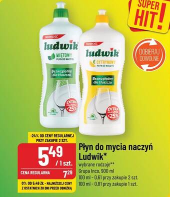 Polomarket Płyn do mycia naczyń Ludwik 900 ml oferta