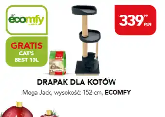 AquaelZOO Drapak dla kota ecomfy oferta