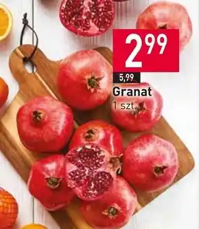 Stokrotka Market Granat oferta