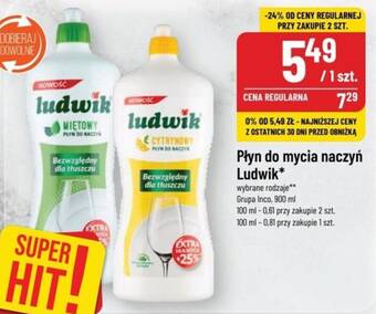 Polomarket Płyn do mycia naczyń Ludwik 900 ml oferta