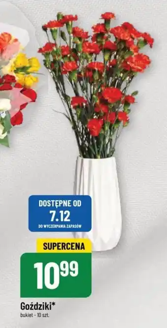 Polomarket Gożdziki 10 szt. oferta