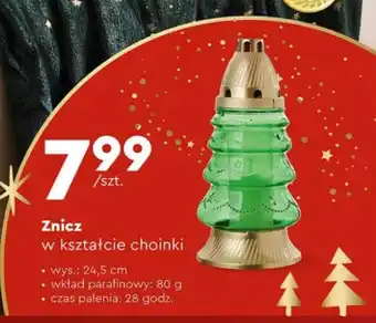 Biedronka Znicz oferta