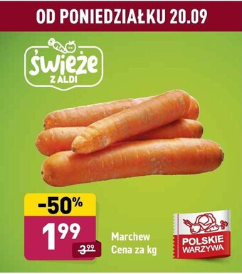 ALDI Marchew 1kg oferta