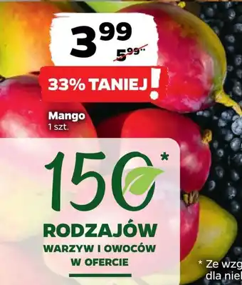 Netto Mango 1 szt. oferta