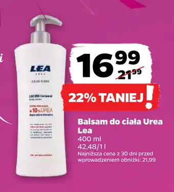 Netto Balsam do ciała urea lea oferta