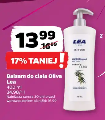 Netto Balsam do ciała oliva lea oferta