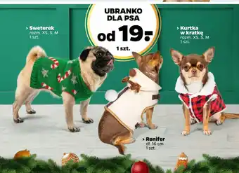 Netto Ubranko dla psa oferta