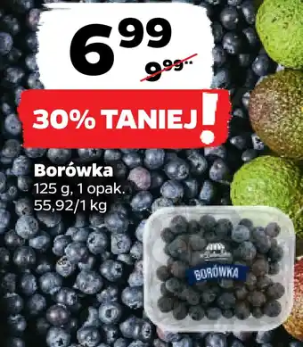 Netto Borówka oferta
