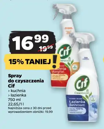 Netto Spray do czyszczenia cif oferta