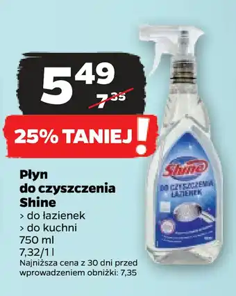 Netto Płyn do czyszczenia shine oferta