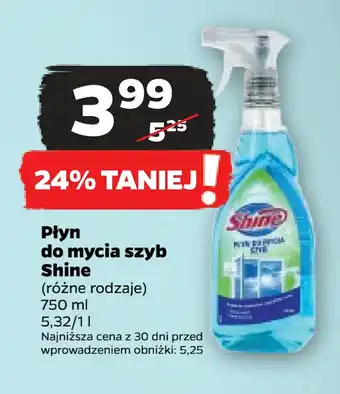 Netto Płyn do mycia szyb shine oferta