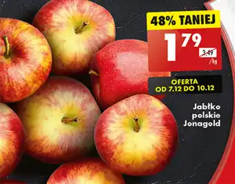 Biedronka Jabłko polskie Jonagold 1 kg oferta
