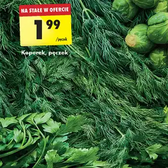 Biedronka Koperek, pęczek oferta