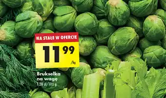 Biedronka Brukselka na wagę 1 kg oferta