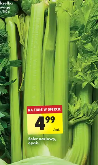 Biedronka Seler naciowy oferta