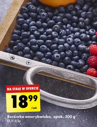 Biedronka Borówka amerykańska, 300 g oferta