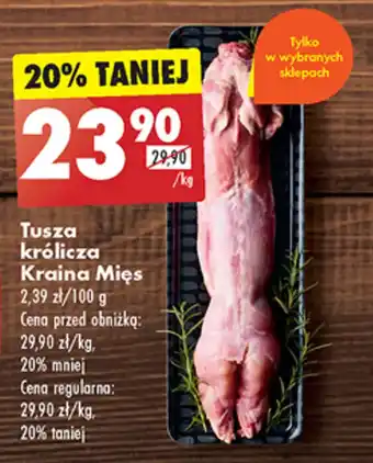 Biedronka Tusza królicza Kraina Mięs 1 kg oferta