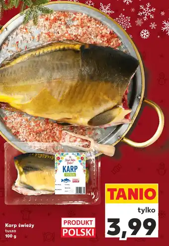 Kaufland Karp świeży 100 g oferta