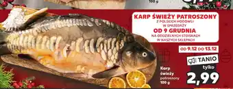 Kaufland Karp świeży 100 g oferta