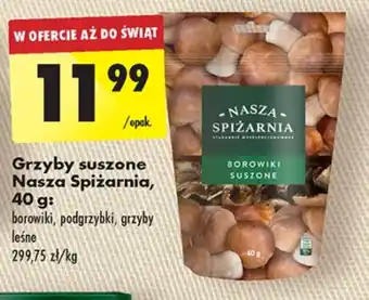 Grzyby suszone nasza spiżarnia