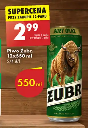 Biedronka Piwo Żubr, 12 x 550 ml oferta