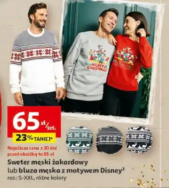 Auchan Sweter męski isy oferta