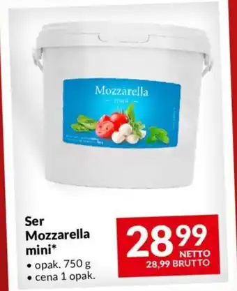 Makro Ser Mozzarella mini 750 g oferta