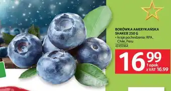 Selgros BORÓWKA AMERYKAŃSKA SHAKER 250 G oferta