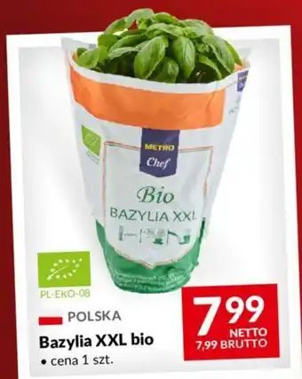 Makro Bazylia XXL bio oferta