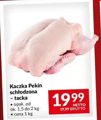 Makro Kaczka Pekin schłodzona - tacka 1 kg oferta