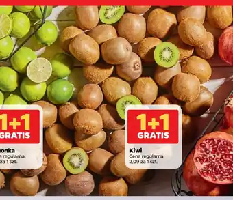 Netto Kiwi oferta