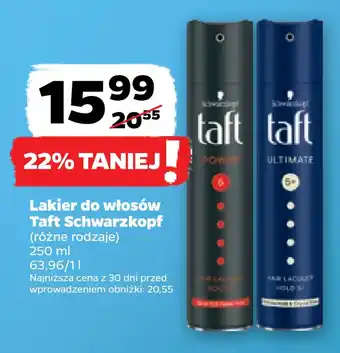 Netto Lakier do włosów taft schwarzkopf oferta