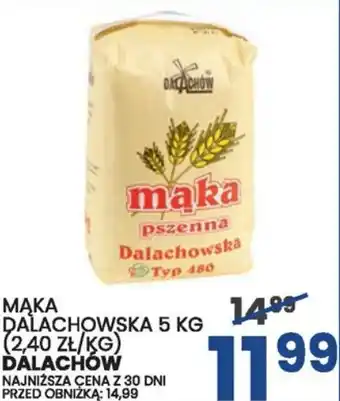 Wafelek MĄKA DALACHOWSKA DALACHÓW 5 KG oferta