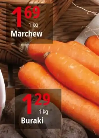 E.Leclerc Marchew 1 kg oferta
