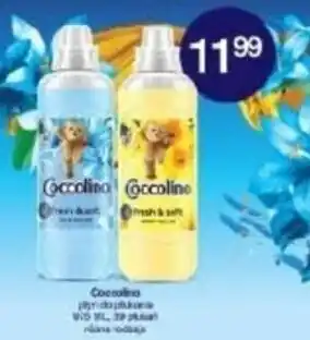 Drogerie Laboo Coccolino płyn do płukania oferta