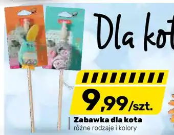 Bricomarche Zabawka dla kota oferta
