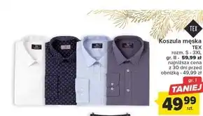Carrefour Koszula męska tex oferta