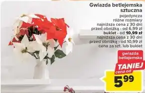 Carrefour Gwiazda betlejemska oferta