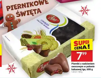 Twój Market Pierniki z nadzieniem owocowym w polewie kakaowej Iga 600 g oferta