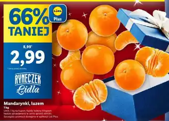 Lidl Mandarynki 1kg oferta