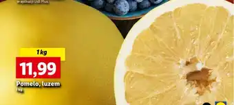 Lidl Pomelo 1kg oferta