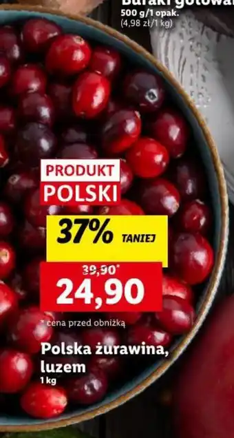 Lidl Polska żurawina 1kg oferta