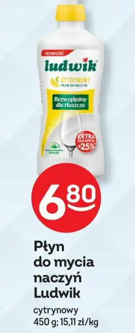 Żabka Płyn do mycia naczyń Ludwik 450 g oferta