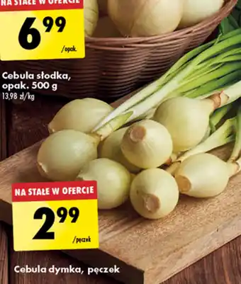 Cebula dymka, pęczek