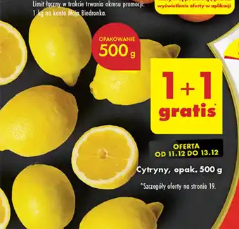 Cytryny, opak. 500 g