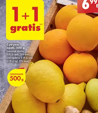 Biedronka Cytryna, opak. 500 g oferta