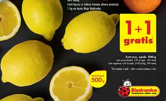 Biedronka Cytryny, opak. 500 g oferta